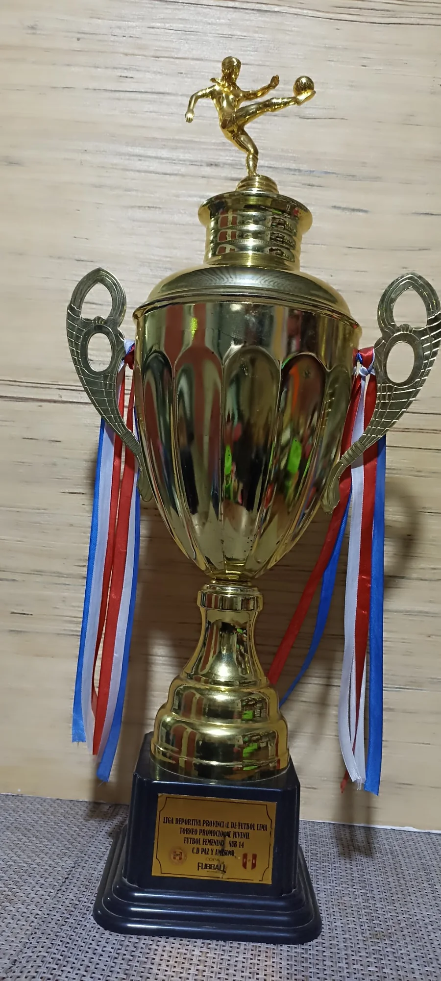 Copa Sportmania Internacional